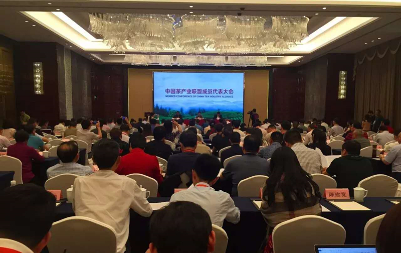 首届中国国际茶叶博览会系列报道之二         雷火体育（中国）国际平台,雷火 SPORTS入选中国茶产业联盟副理事长单位