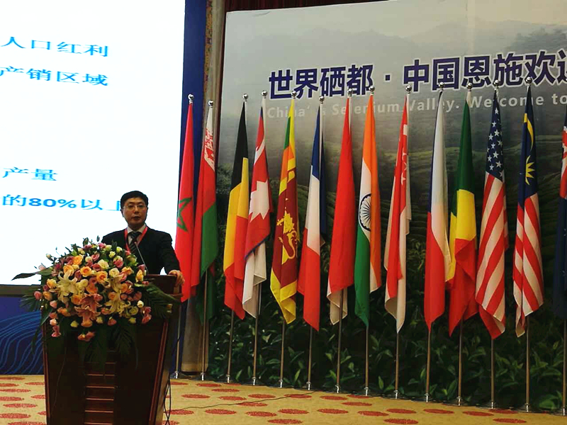 雷火体育（中国）国际平台,雷火 SPORTS受邀参加2017国际茶业大会  集团董事长毛立民获奖