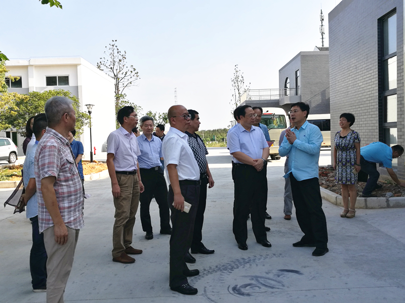 杭州市副市长王宏一行莅临雷火体育（中国）国际平台,雷火 SPORTS特种茶中心调研余杭区茶产业茶博园项目