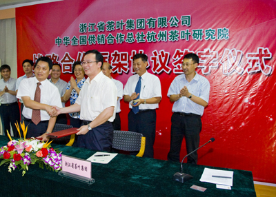 真诚合作 共创双赢--雷火体育（中国）国际平台,雷火 SPORTS公司与总社茶研院建立全面战略合作关系