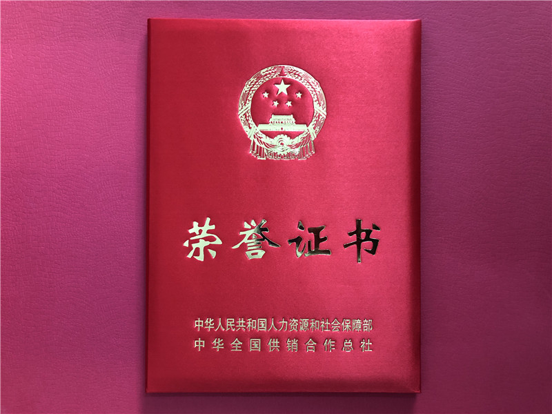 喜讯！雷火体育（中国）国际平台,雷火 SPORTS连获三项殊荣
