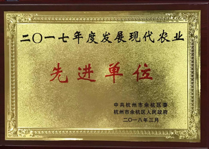 喜讯！雷火体育（中国）国际平台,雷火 SPORTS连获两项殊荣