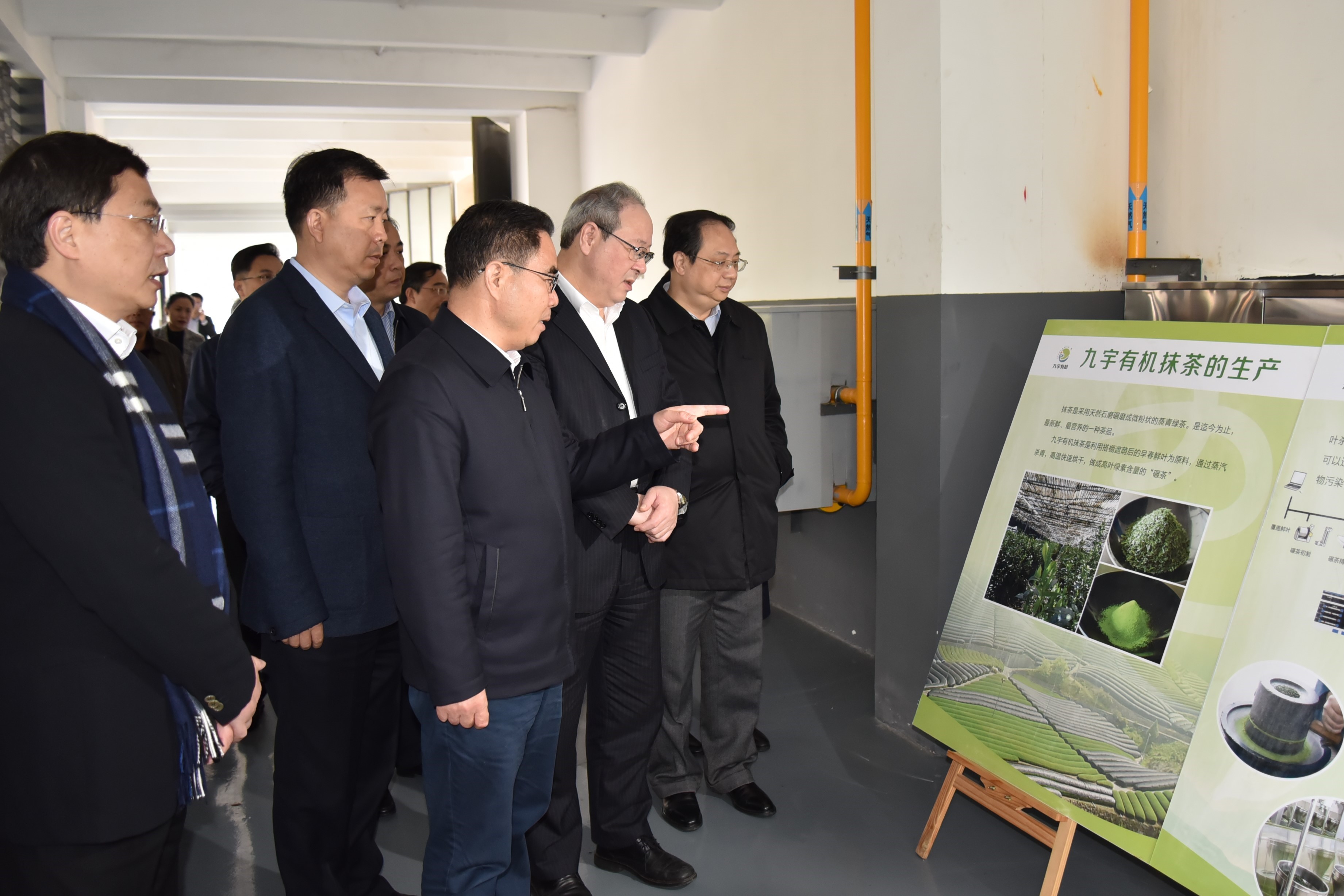 广东省委叶贞琴一行莅临雷火体育（中国）国际平台,雷火 SPORTS茶产业博览园考察