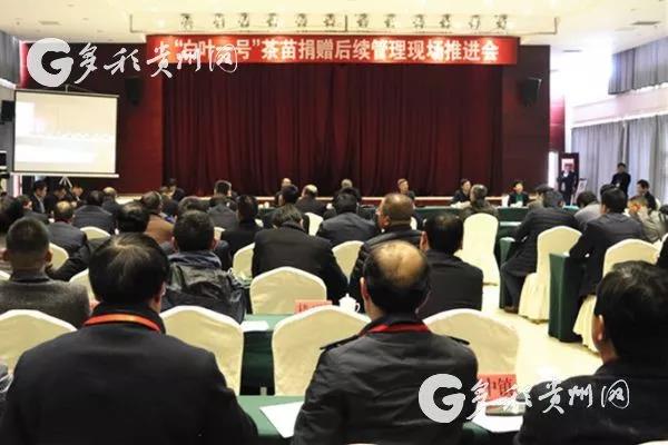 雷火体育（中国）国际平台,雷火 SPORTS受邀参加“白叶一号”茶苗捐赠后续管理现场推进会