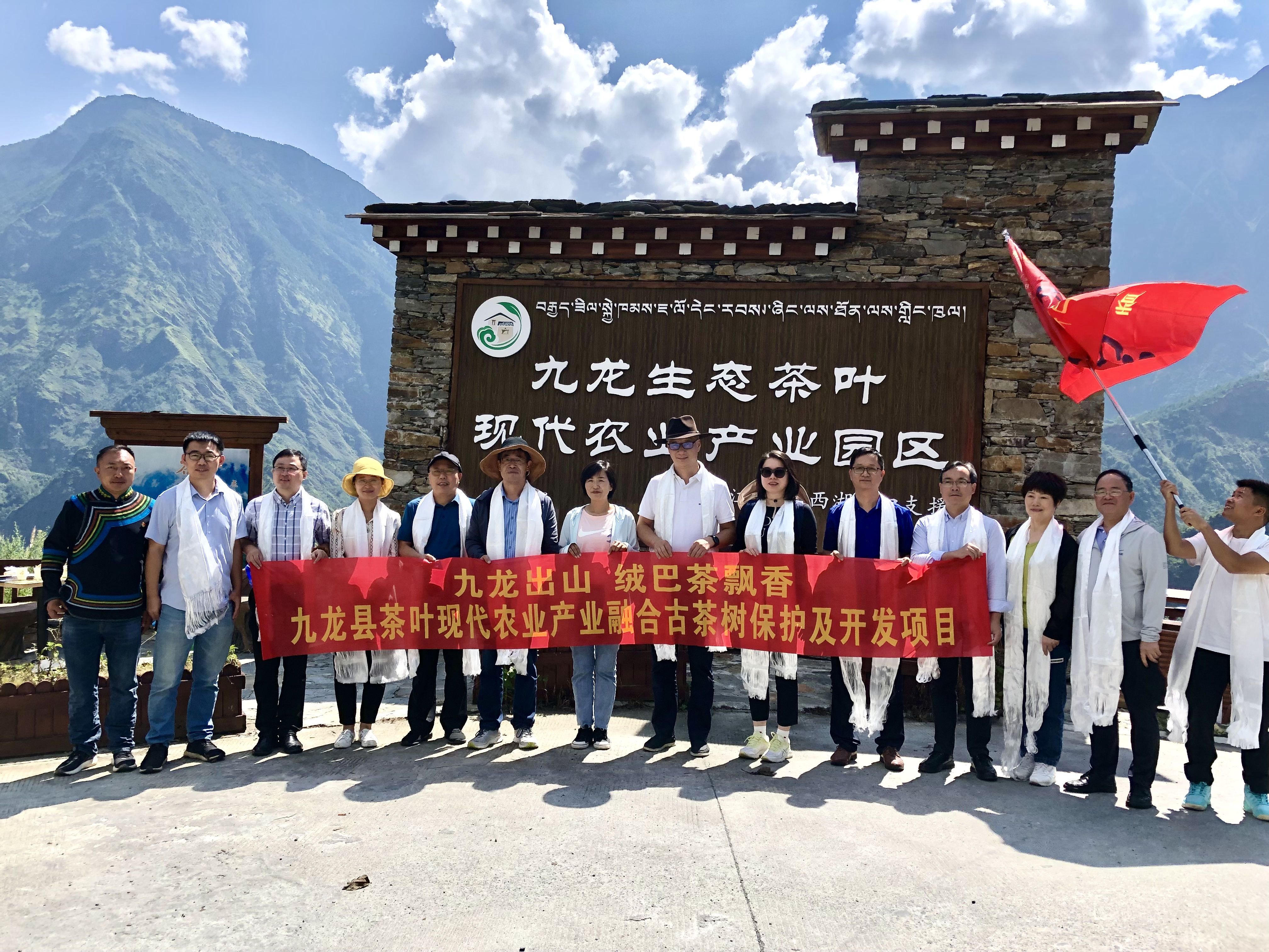 九龙出山·绒巴茶飘香——雷火体育（中国）国际平台,雷火 SPORTS牵头实施九龙县茶叶现代农业产业融合示范项目古茶树保护及开发项目